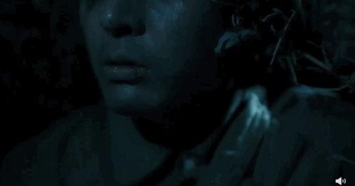 国产九一视频,探索中国科技与文化的创新融合